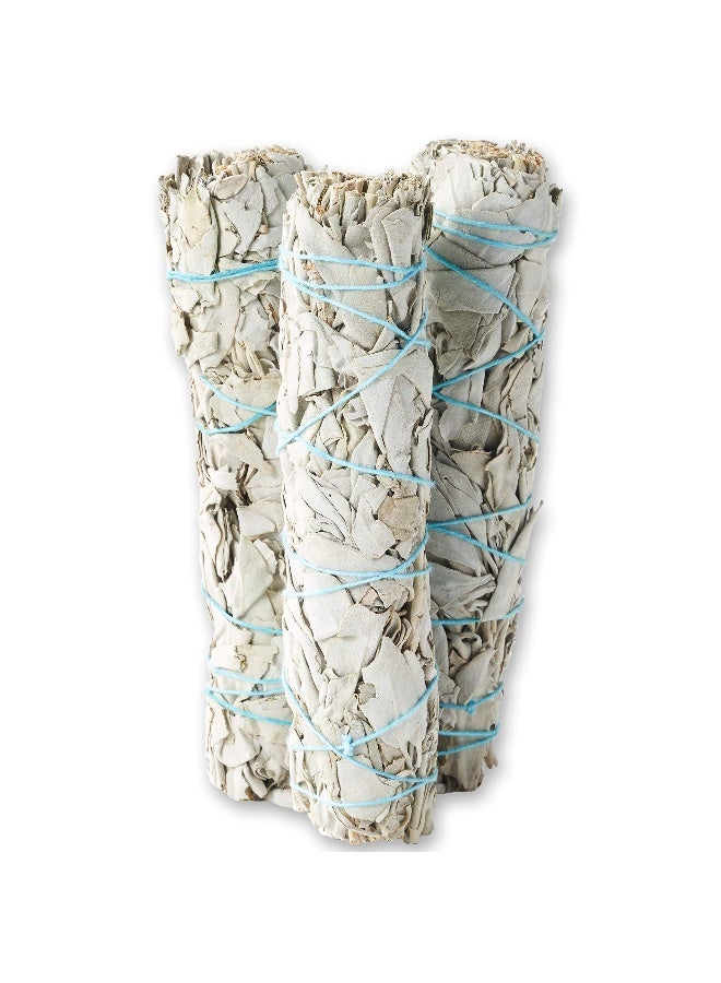 BLUE RIVER SAGE 9-Inch White Sage Smudge Sticks ~ Sustainably Harvested ~ for Smudging & Cleansing ~ Instructions Included (3 Pack) - Image 2